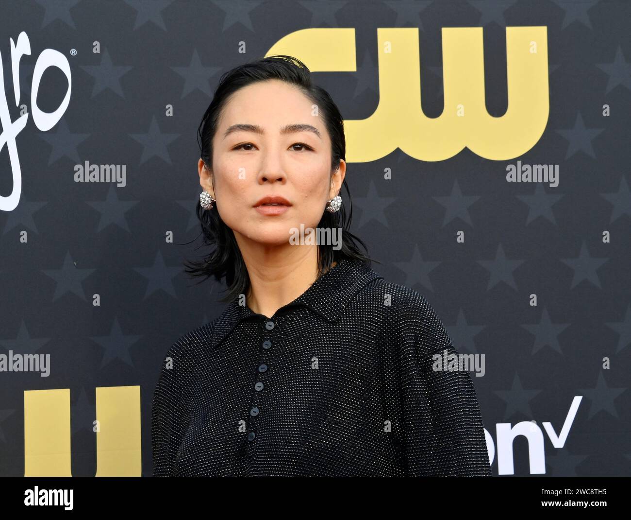 Los Angeles, United States. 14th Jan, 2024. Greta Lee attends the 29th