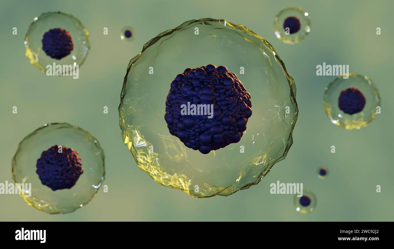 3d rendering of a group of stem cells, which are unspecialized cells that can develop into different types of cells. The stem cells are shown as spher Stock Photo