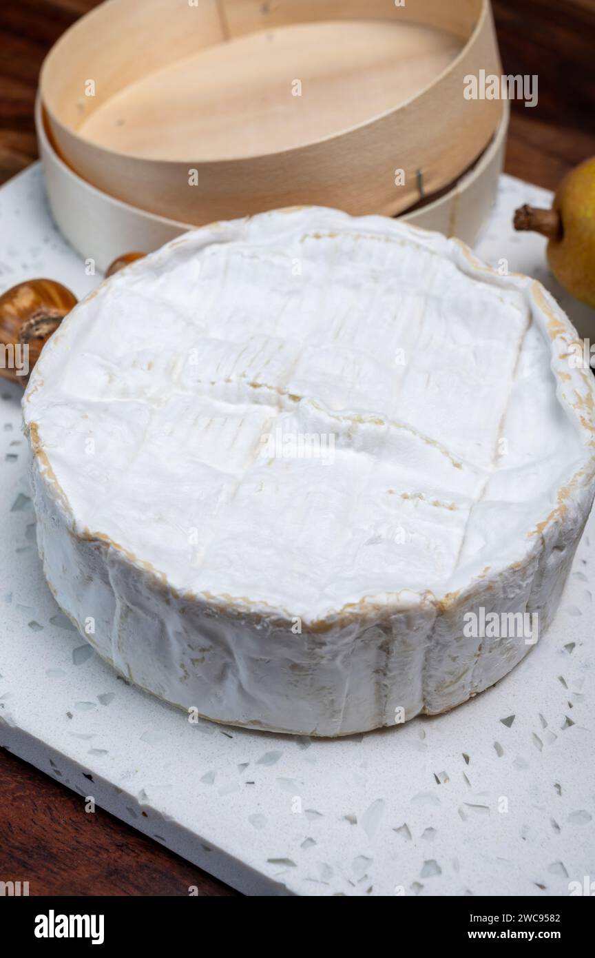 French soft Camembert cheese, original Camembert de Normandie, close up ...