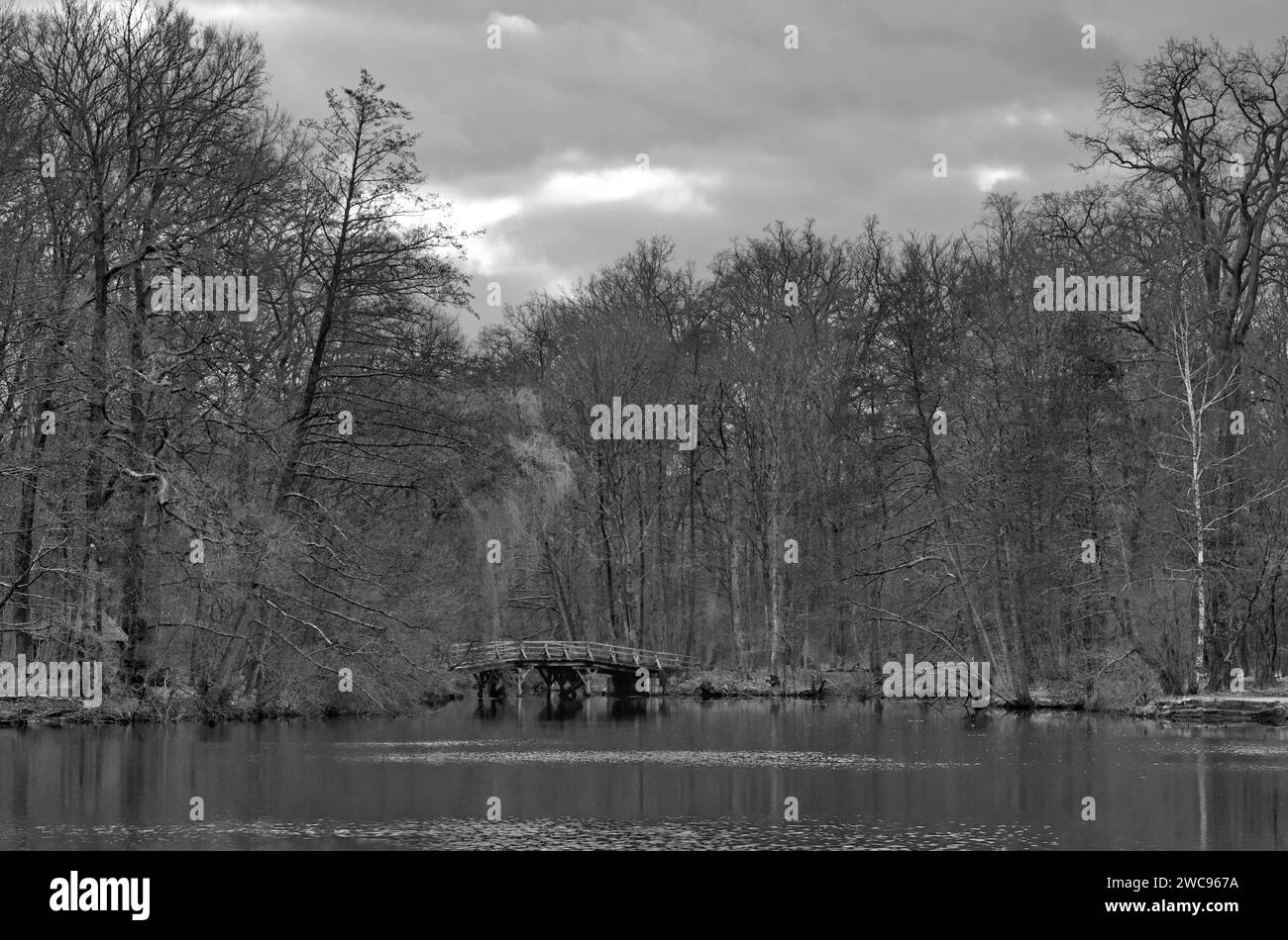 Black-and-whithe photograph of a wooden bridge and an overview of the lake Jacobiweiher (Pond of James the Great) at Frankfurt am Main, Hesse, Germany Stock Photo