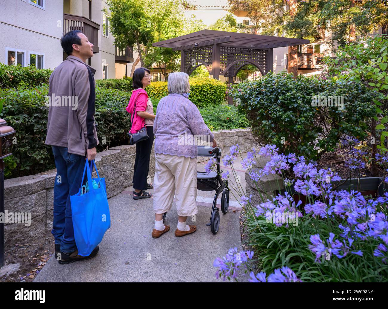 Woman elderly senior hi-res stock photography and images - Alamy