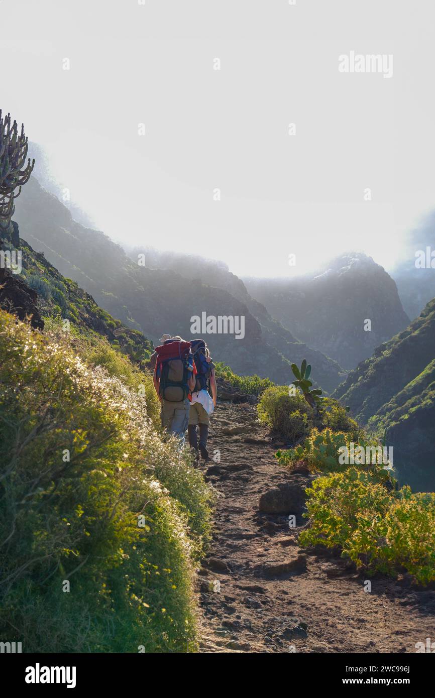 solitude and adventure. It features a lone hiker, viewed from behind, making their way up a rugged mountain trail adorned with lush greenery. The vert Stock Photo