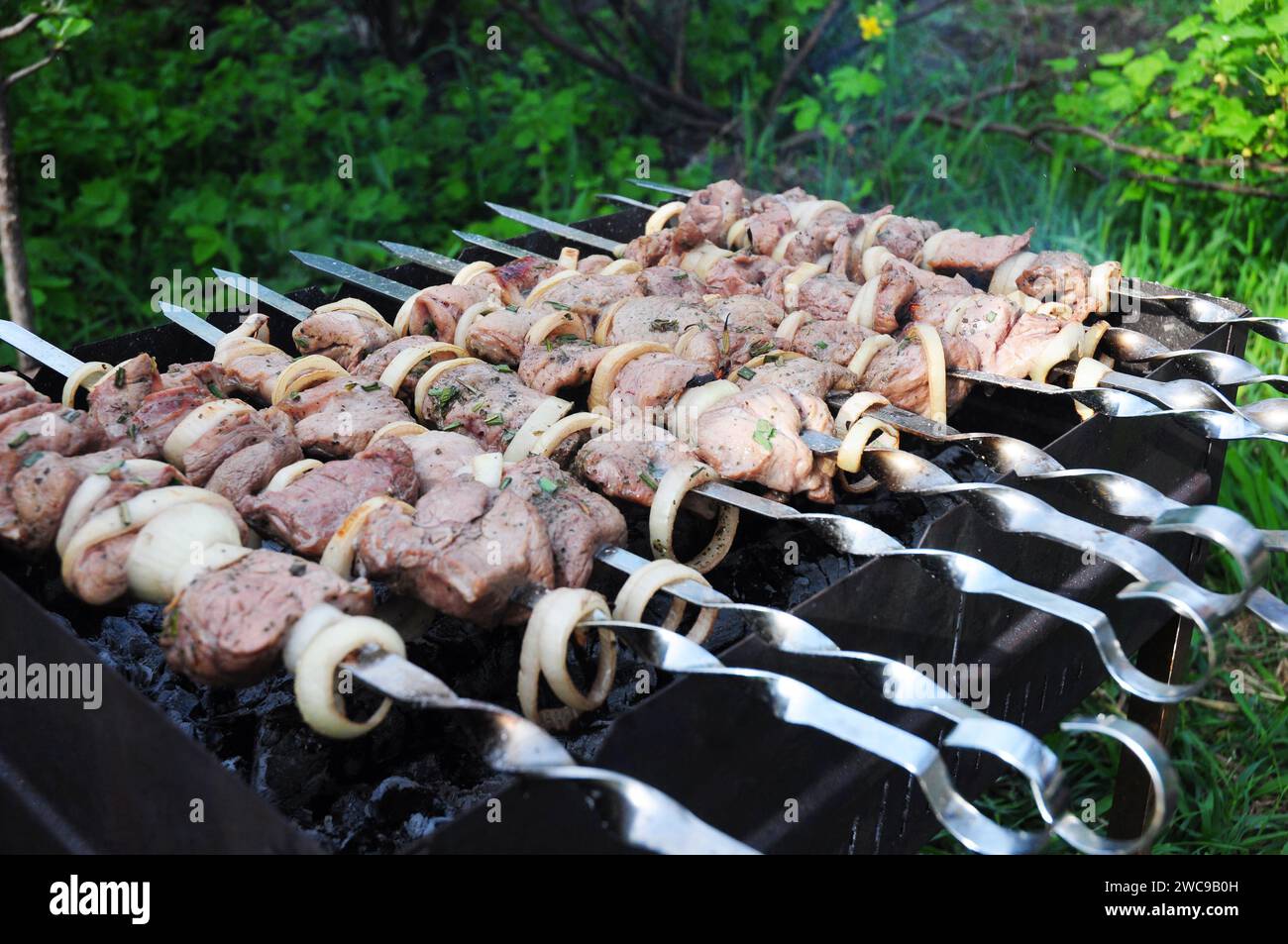 Preparing, roasting shashlik, shashlyk, shish kebab, cubes of meat with onion on skewers on a mangal outdoors. Stock Photo