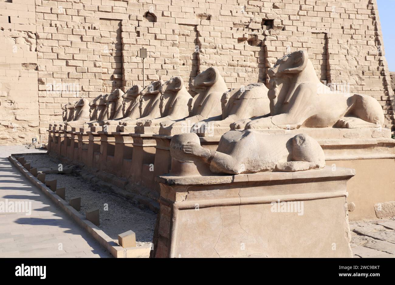 Famous alley of sphinxes with a ram heads in Karnak Temple, Luxor. Alley of ram-headed sphinxes directed to the main entrance in Karnak Temple Complex Stock Photo