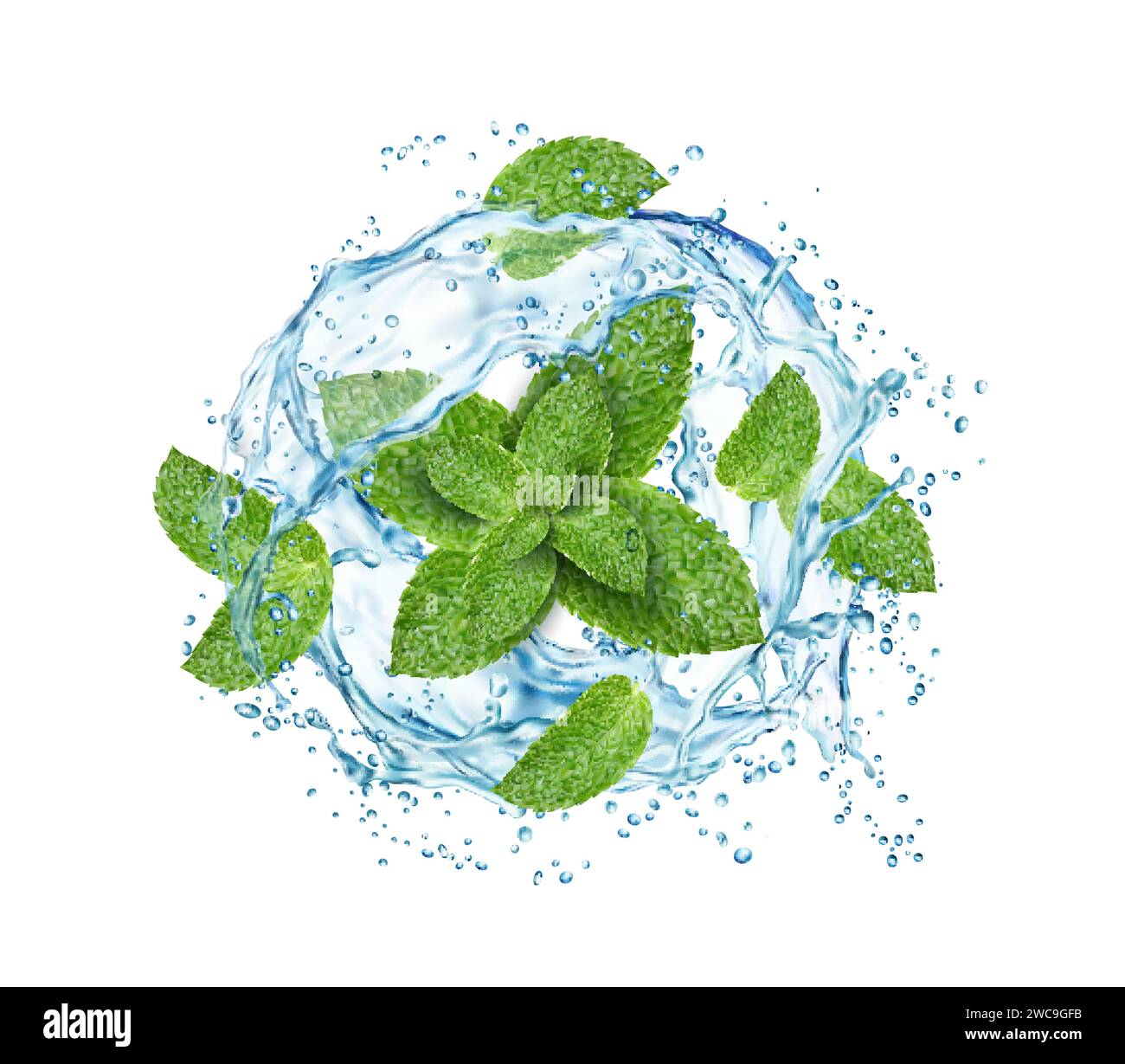 Lemonade Explosion Fresh green leaves splashing Stock Vector Images - Alamy
