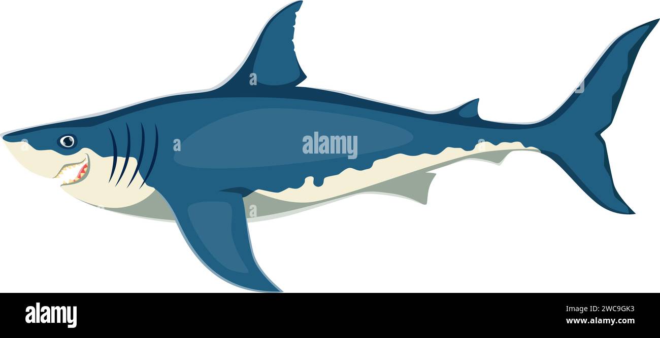 Cartoon shark character, powerful and magnificent sea animal with streamlined sleek body, sharp teeth, and incredible swimming abilities. Isolated vector apex predator living in the oceans Stock Vector