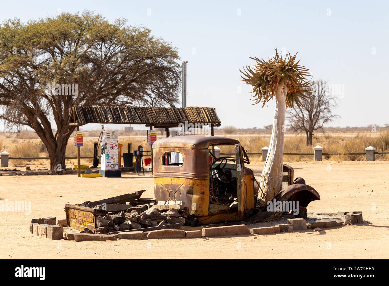 A rusty truck parked beside a quiver tree in an old gas station Stock Photo