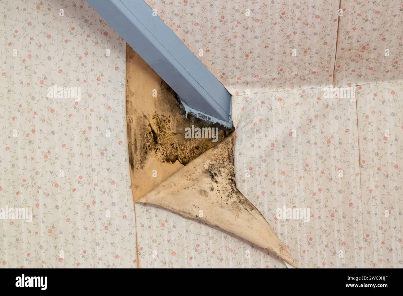 Wallpaper peeling off wall hires stock photography and images Alamy