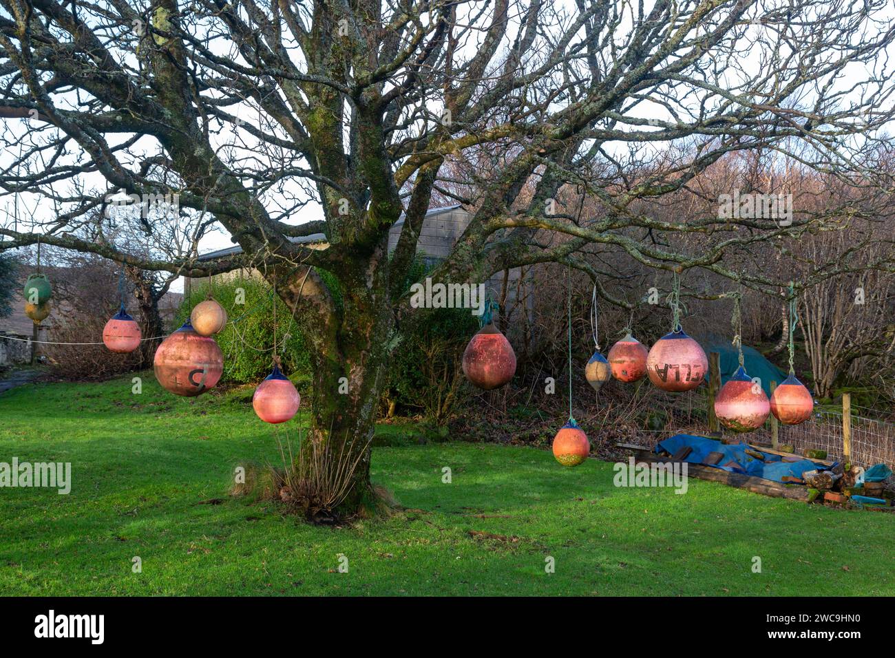 Buoys hanging from tree hi-res stock photography and images - Alamy