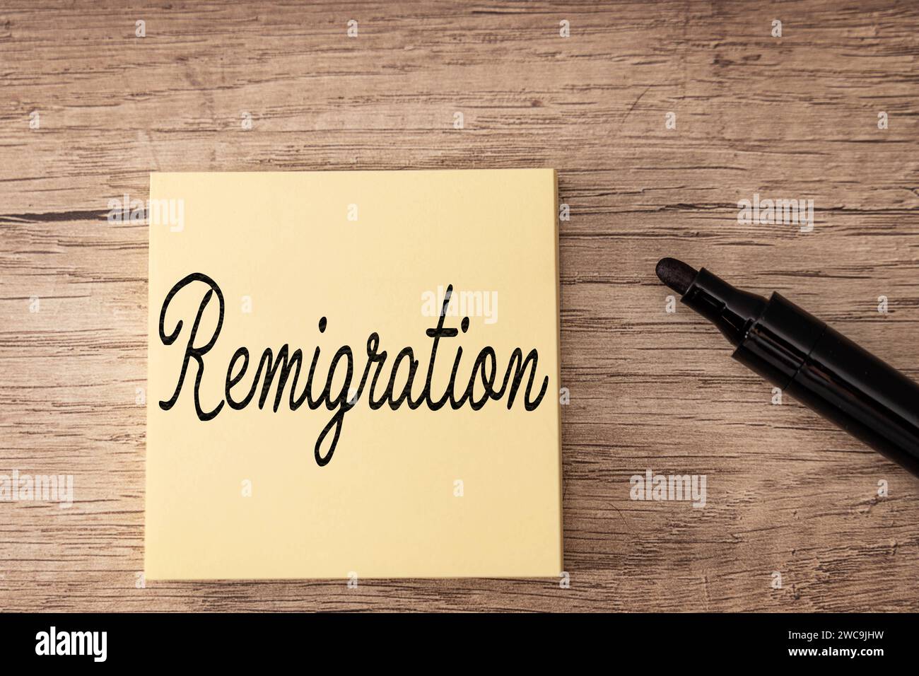 15 January 2024: Remigration, the bad word of the year 2023 ...
