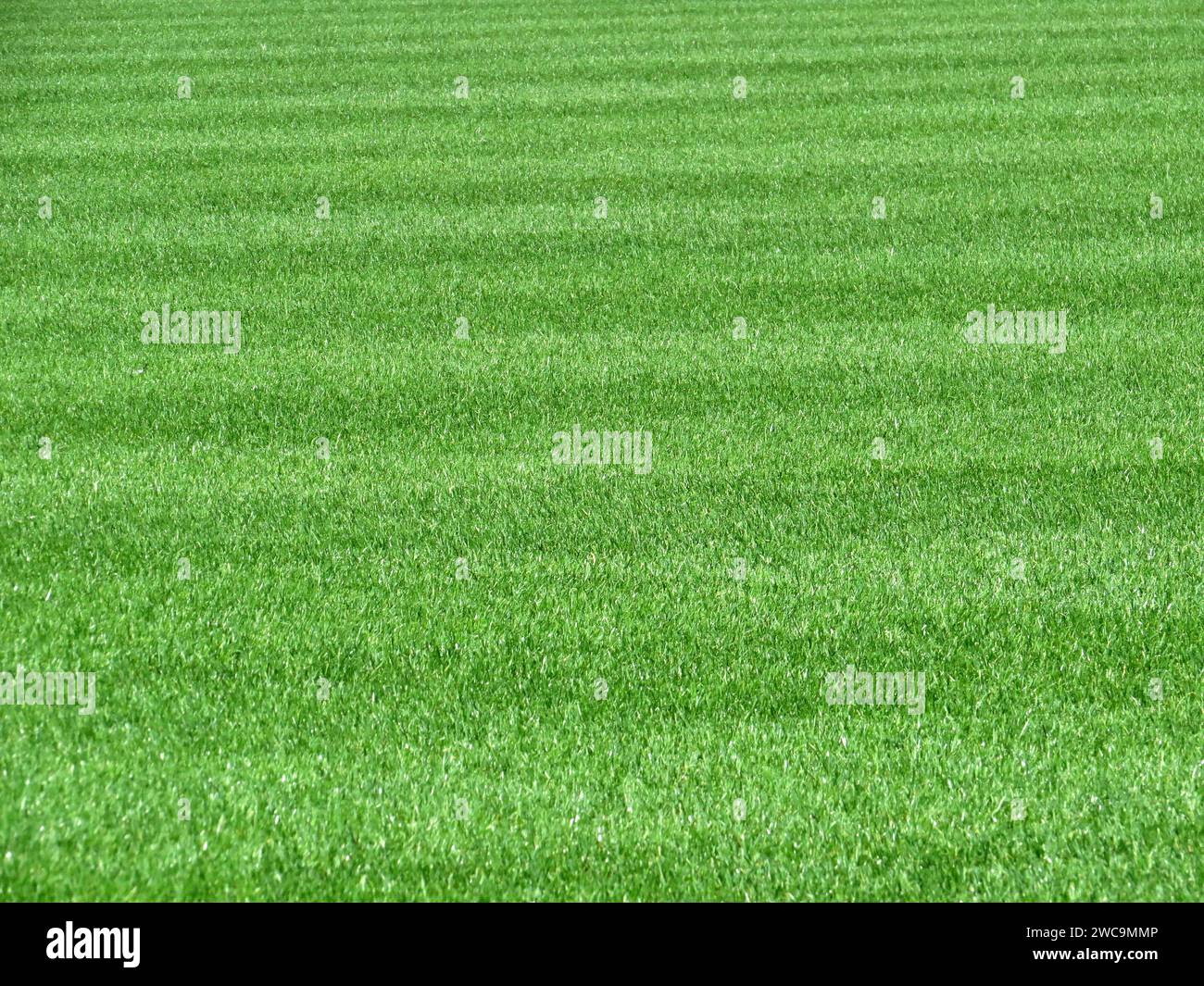 Soccer field in near plan Stock Photo Alamy