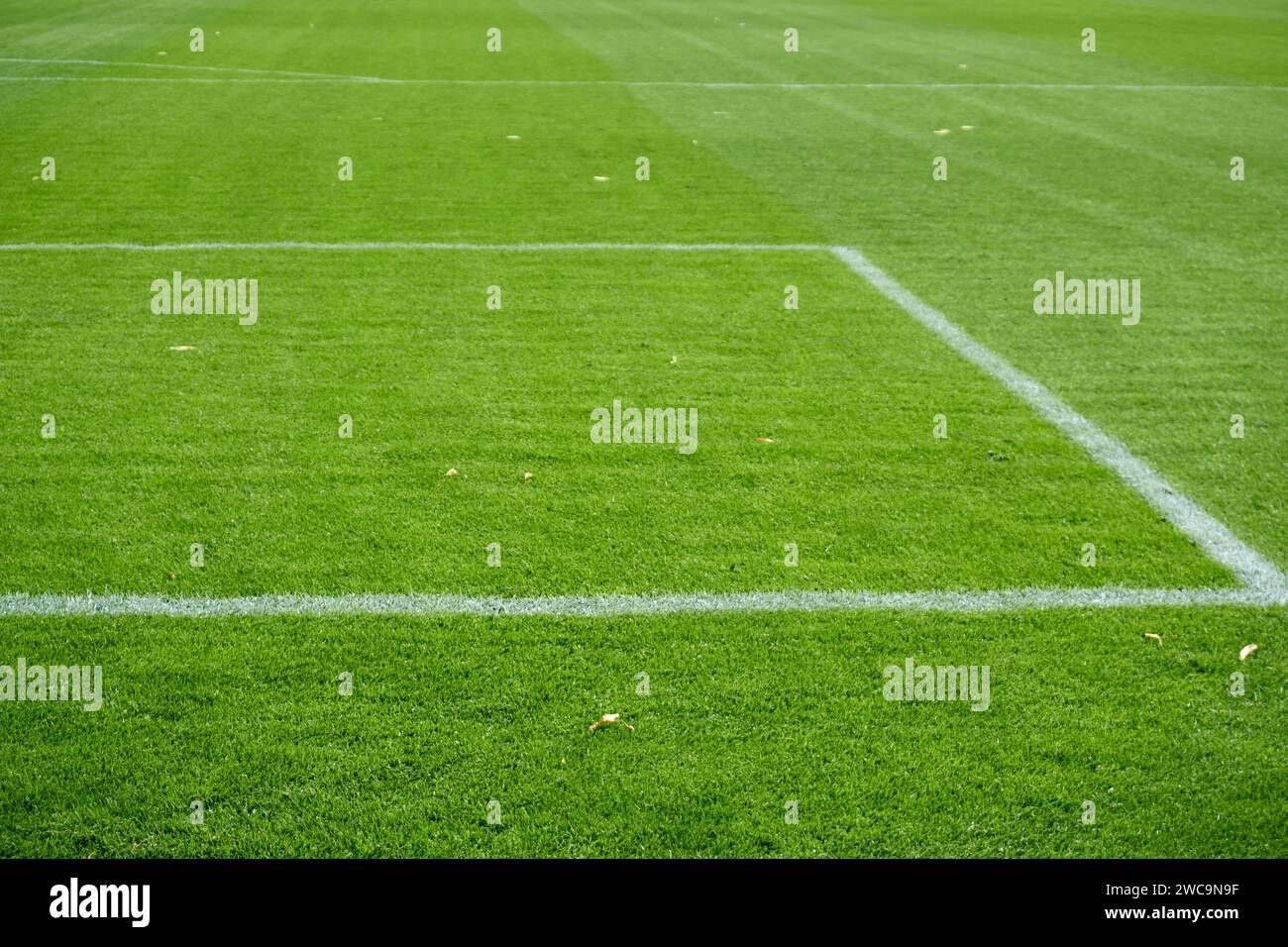 Soccer field in near plan Stock Photo Alamy
