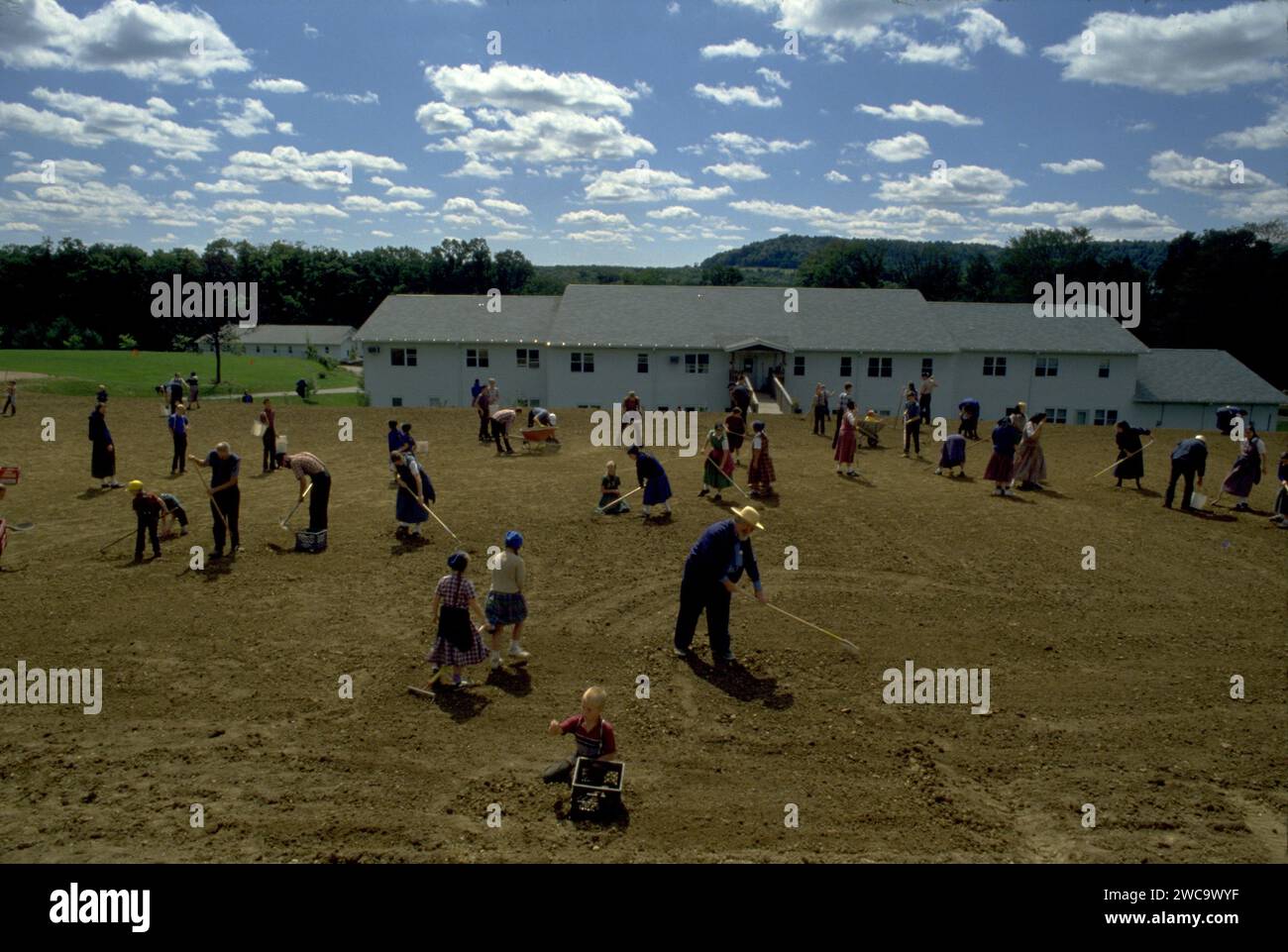 Work in groups hi-res stock photography and images - Alamy