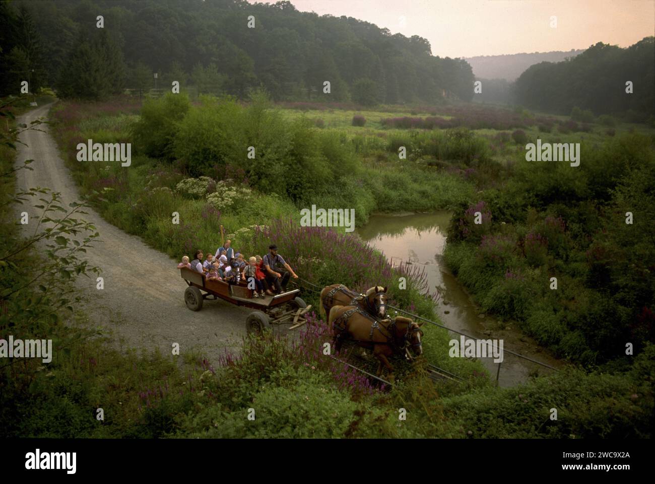 Bruderhof Pony Ride Stock Photo Alamy