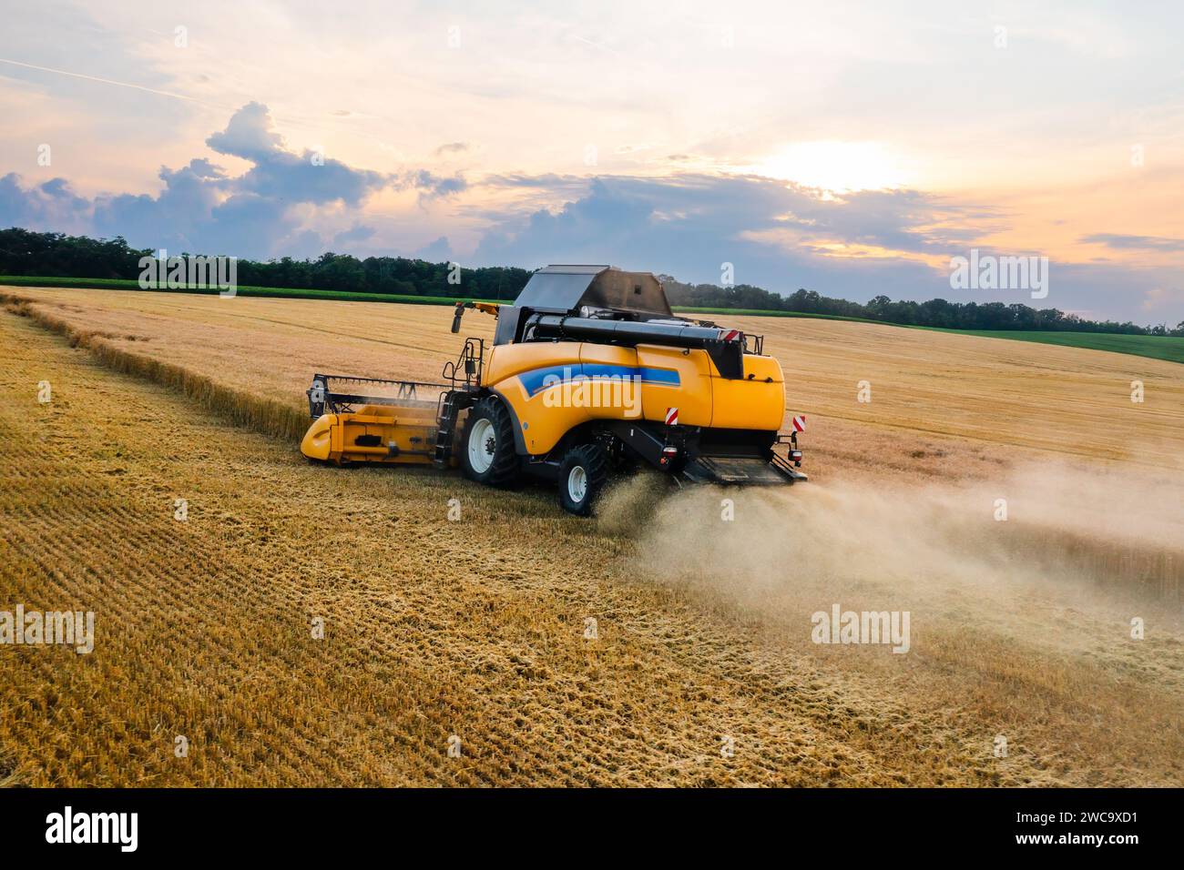 Straw reaper removes dry plant stems in farm field aerial view. Contemporary combine truck mows into windrows in agricultural meadow on summer day Stock Photo