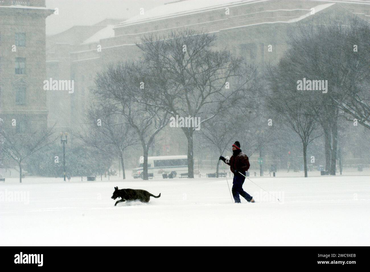 A record-making snowstorm on February 16, 2003, in the nation's capital brought cross-country skiers out to the National Mall to enjoy the heavy accumulation of snow. Stock Photo