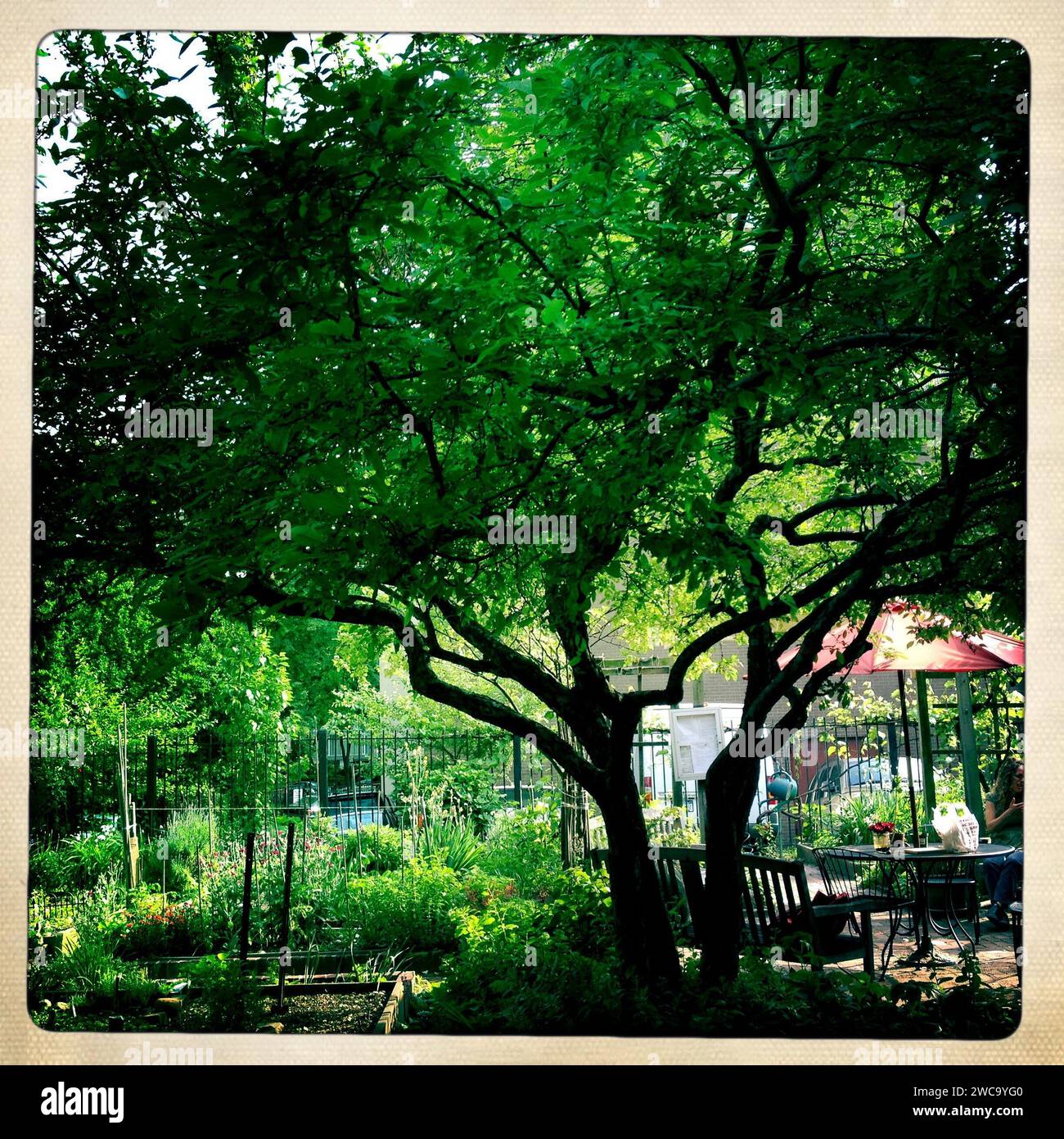 Urban Garden Chelsea NYC NY Stock Photo - Alamy
