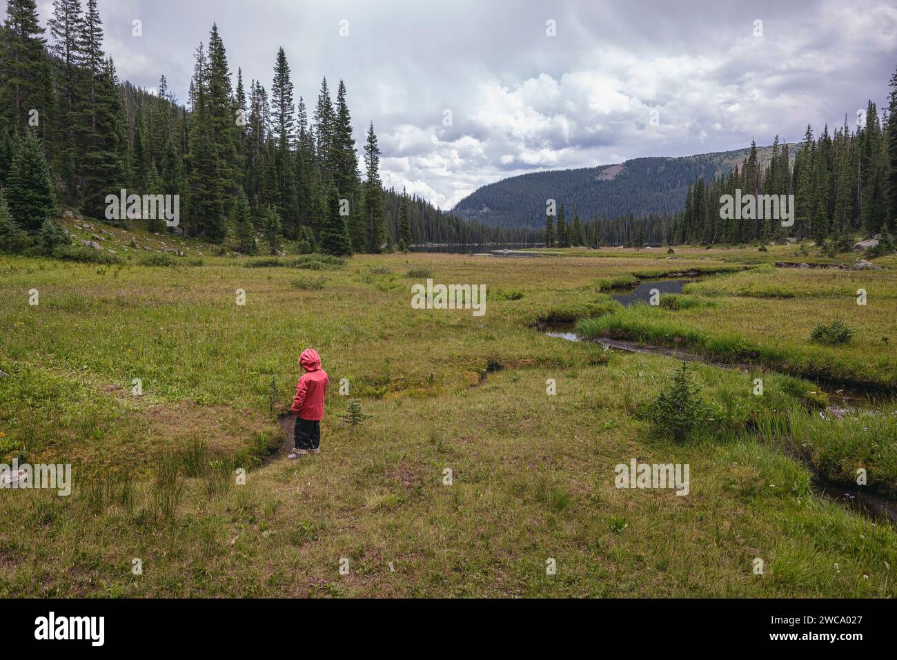 Young explorer trekking through wilderness beauty Stock Photo