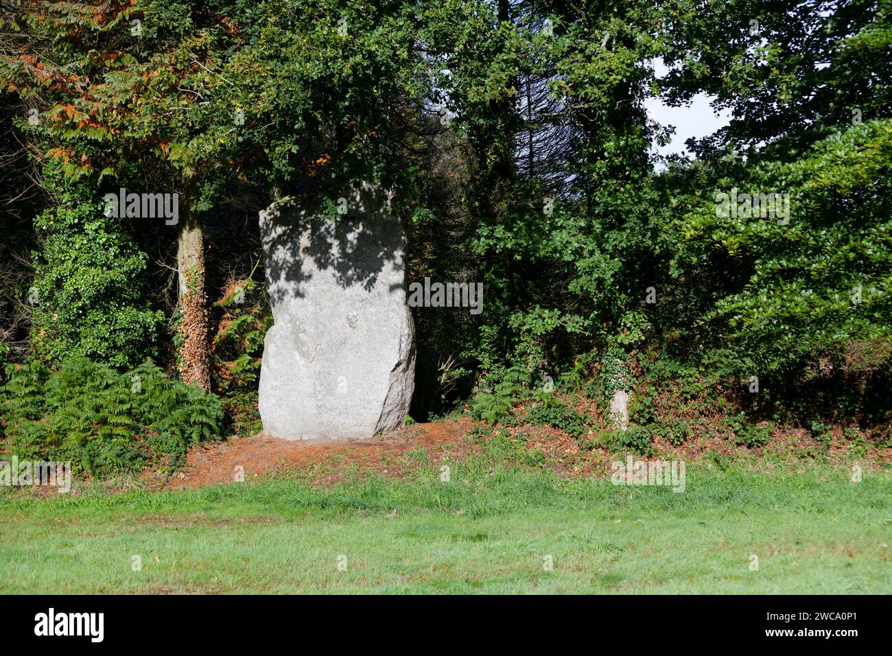 The Kerelcun menhir is 4 m high and is the only one in the town of La Feuillée in Finistère, Brittany. Stock Photo