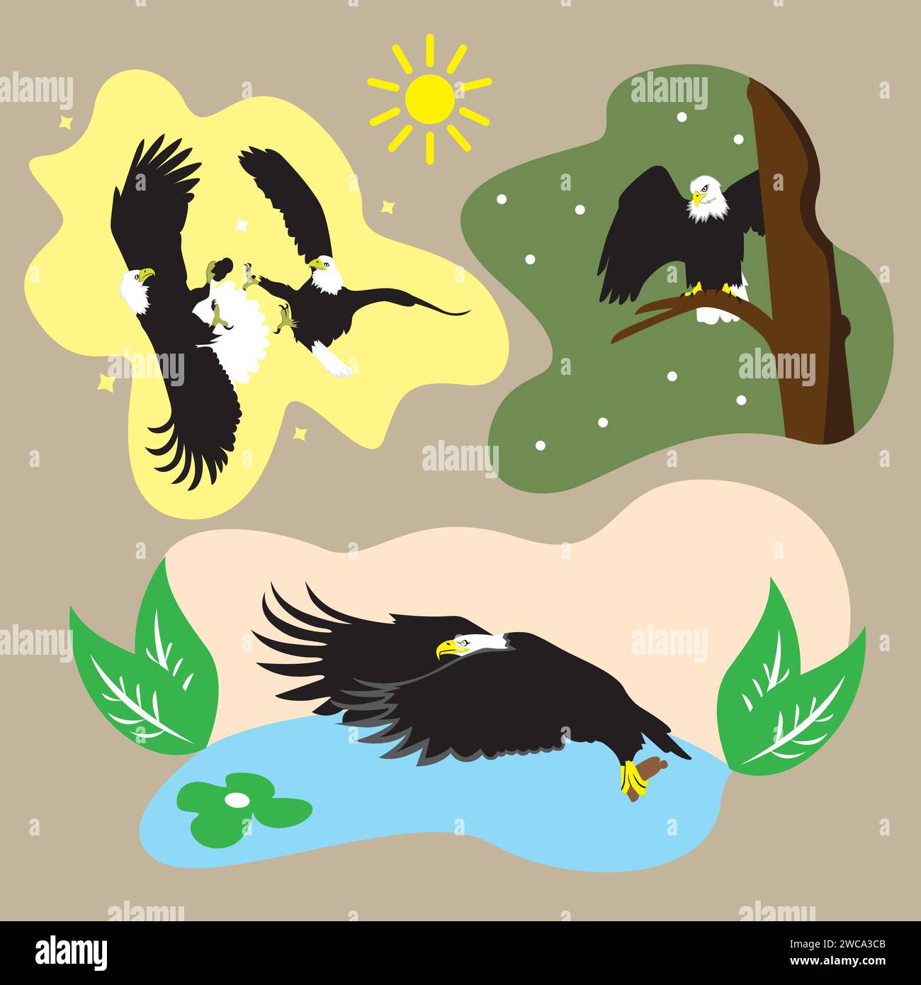 eagle collection. Vector illustration Stock Vector