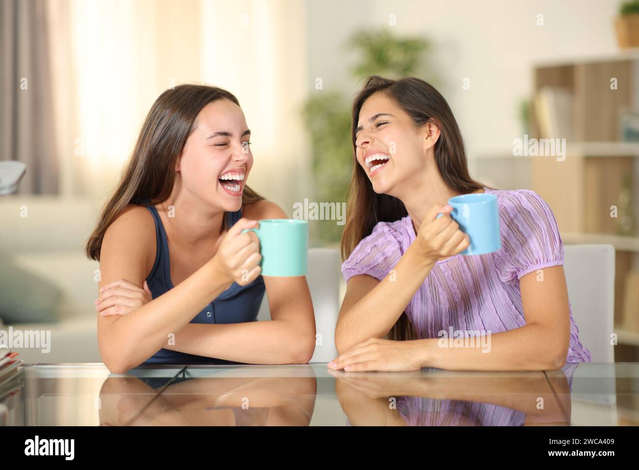 Two happy friends drinking and laughing hilariously at home Stock Photo