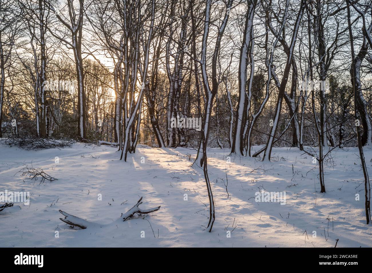 Weather UK Aberdeen, Scotland, UK. 15th Jan, 2024. Heavy Snow fall in
