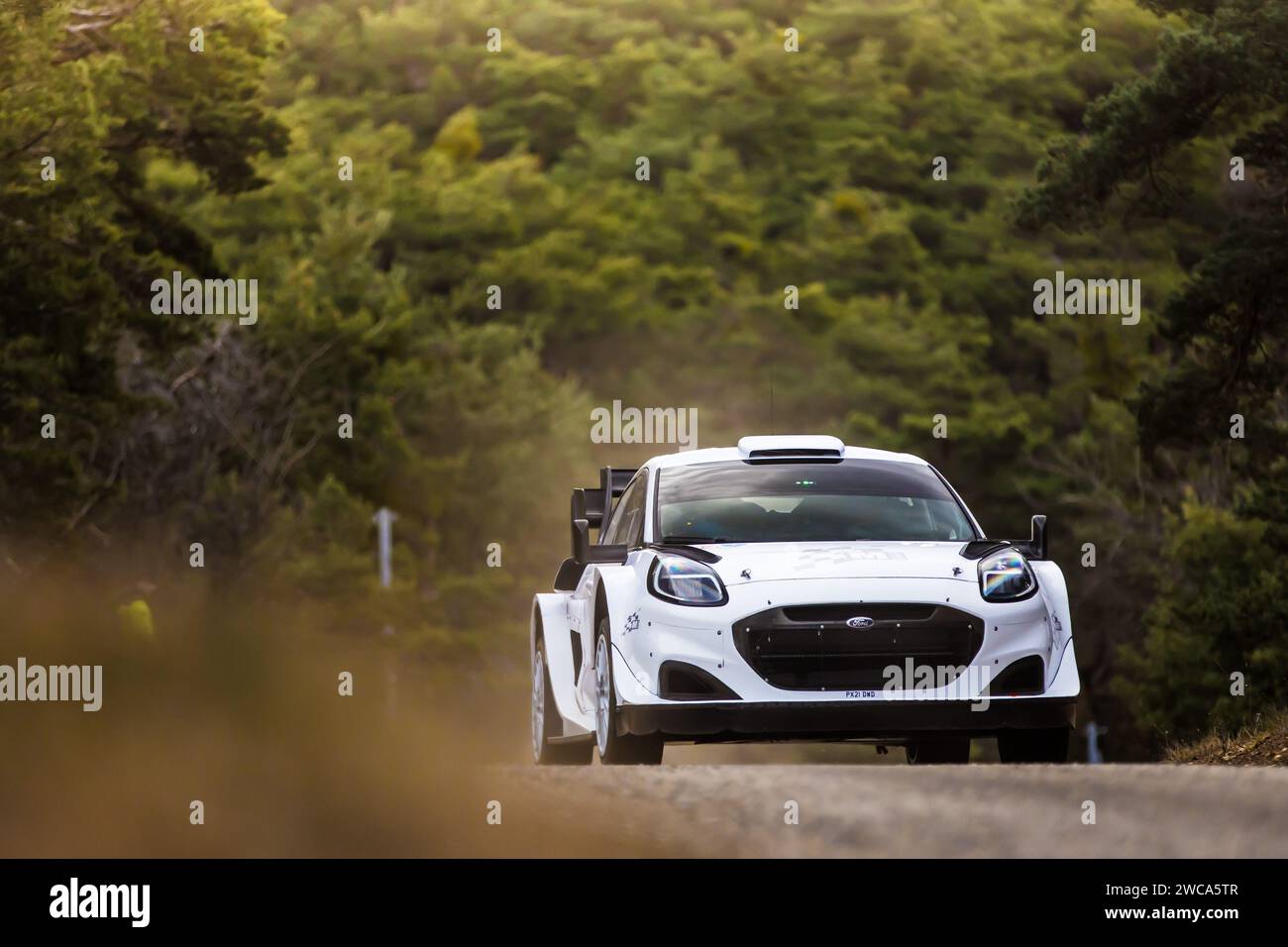 Adrien FOURMAUX (FRA), AM-SPORT FORD WORLD RALLY TEAM, FORD Puma Rally1 Hybrid, WRC, action during the tests prior to the 2024 WRC World Rally Car Championship, Monte Carlo rally on January 14 2024 at L'Epine, France - Photo Bastien Roux / DPPI Stock Photo