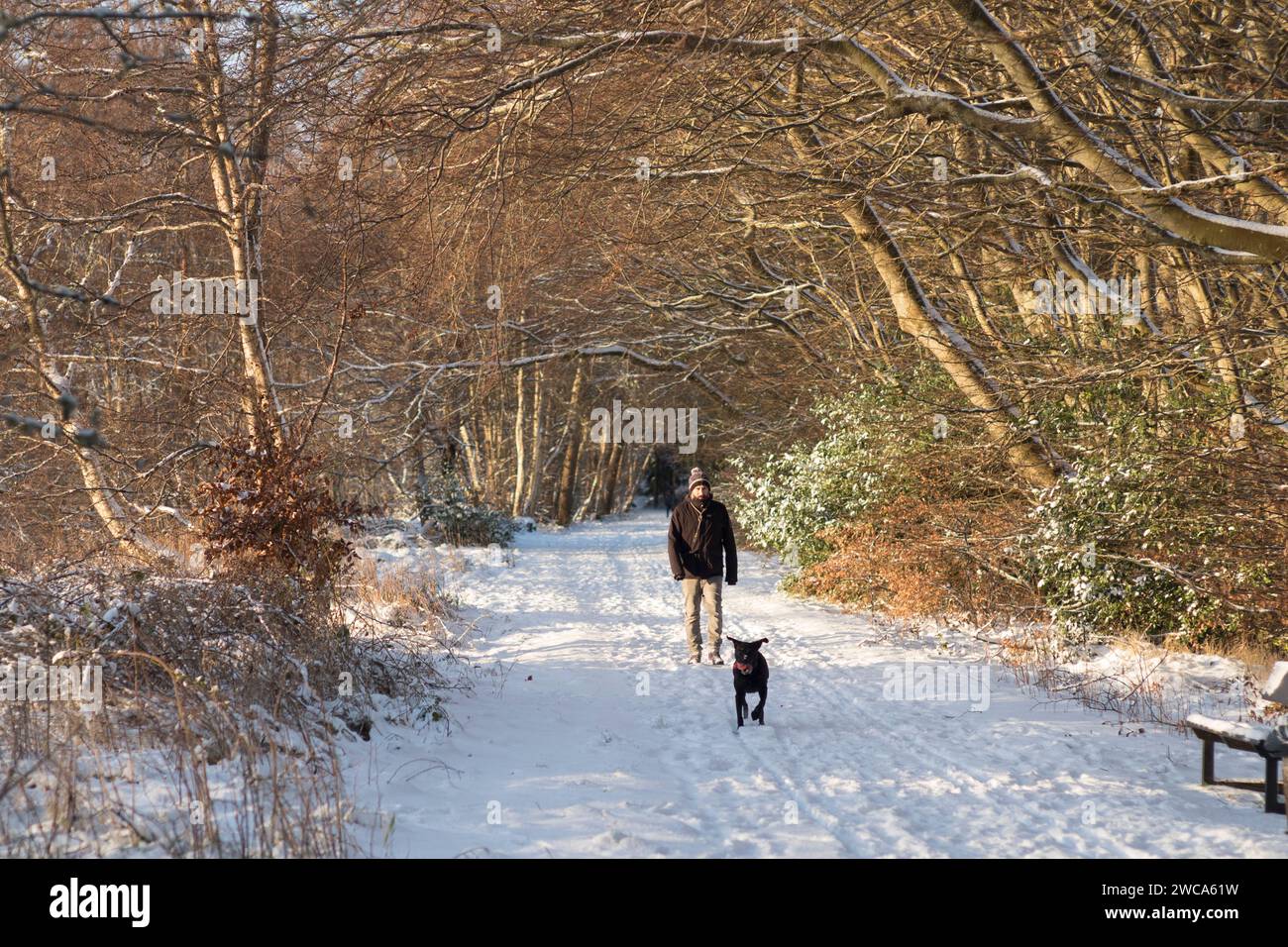 Weather UK Aberdeen, Scotland, UK. 15th Jan, 2024. A dog walker on the
