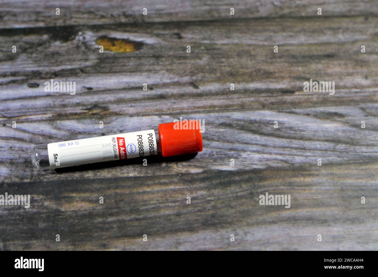 Cairo, Egypt, January 11 2024: Xinle Blood collection tube for collecting blood samples for laboratory analysis tests like CBC complete blood count, E Stock Photo