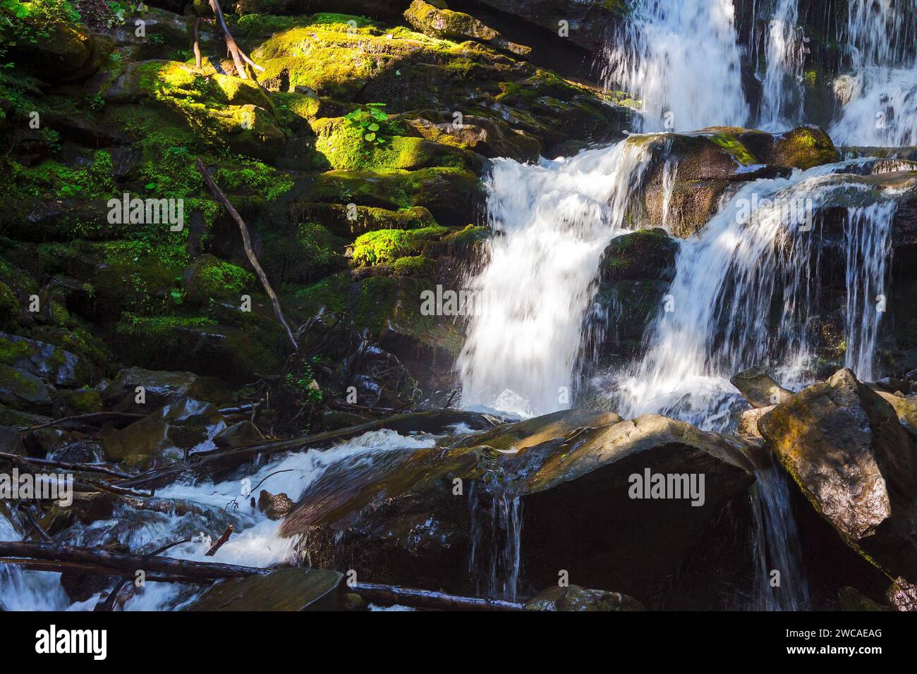 shypit waterfall closeup. clear water flow among mossy rocks in morning light. freshness of carpathian nature in summer Stock Photo