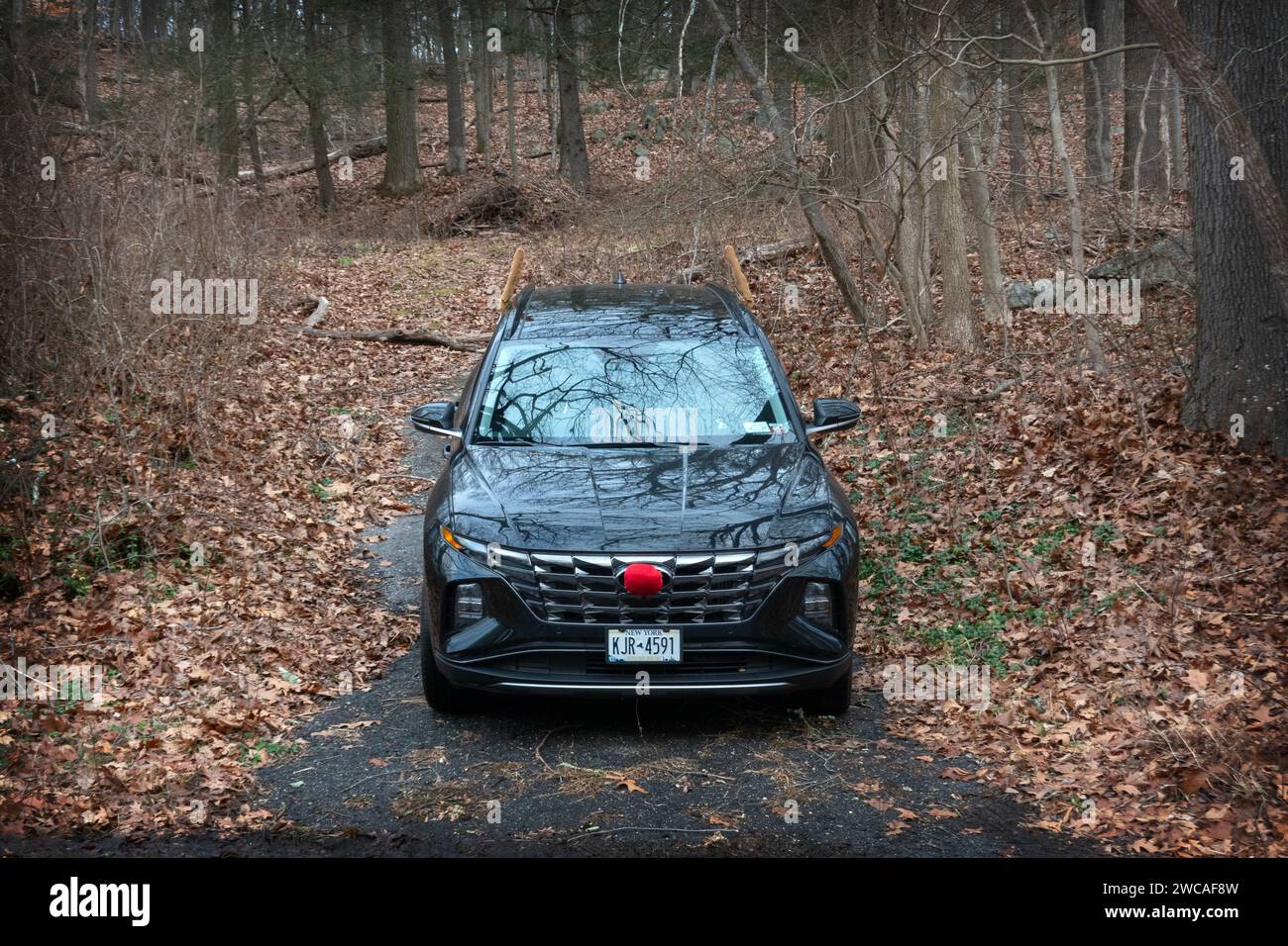 A car with Christmas decorations parked in single parking place in the