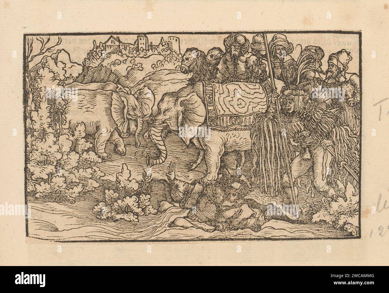 March of hannibals troops in hi-res stock photography and images - Alamy