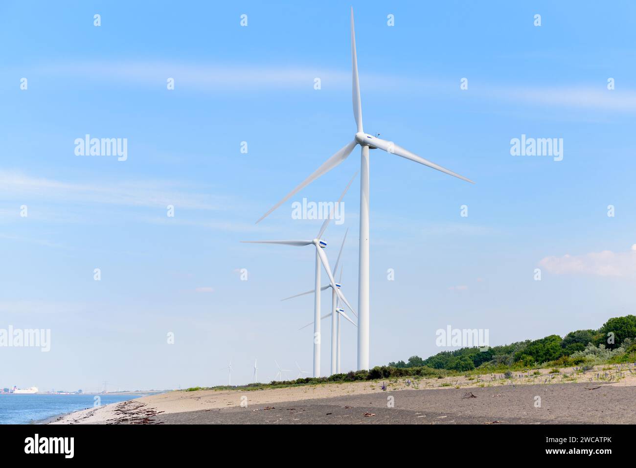 Wind turbines along the coast on a clear summer day Stock Photo