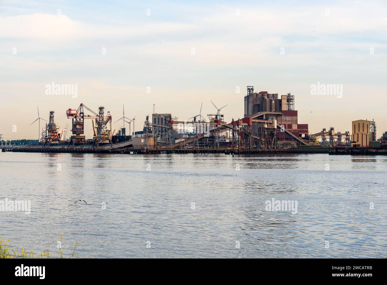 Dry bulk terminal in a port at sunset in summer Stock Photo