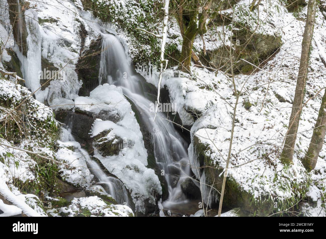 Jankovac, Hrvatska. 15th Jan, 2024. Winter idyll in Jankovac Forest Park in Papuk Nature Park, in Jankovac, Croatia, on January 15, 2024. Photo: Borna Jaksic/PIXSELL Credit: Pixsell/Alamy Live News Stock Photo