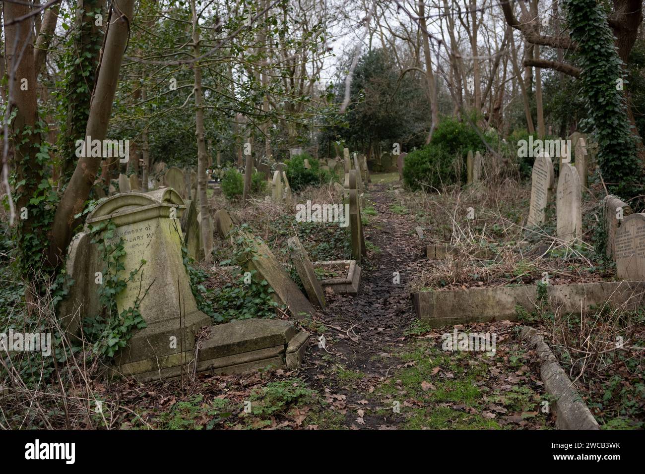 Highgate Cemetery, North London graveyard secures £100,000 of National