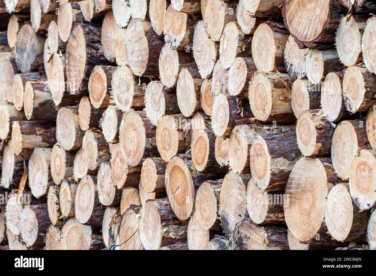 Lengths of wood hi-res stock photography and images - Alamy