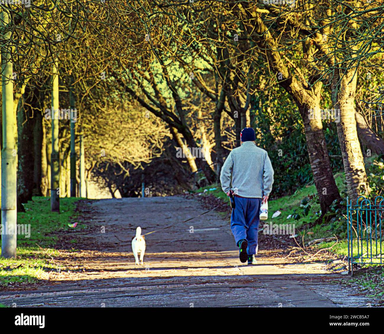 Glasgow, Scotland, UK. 15th January, 2024. UK Weather Freezing night