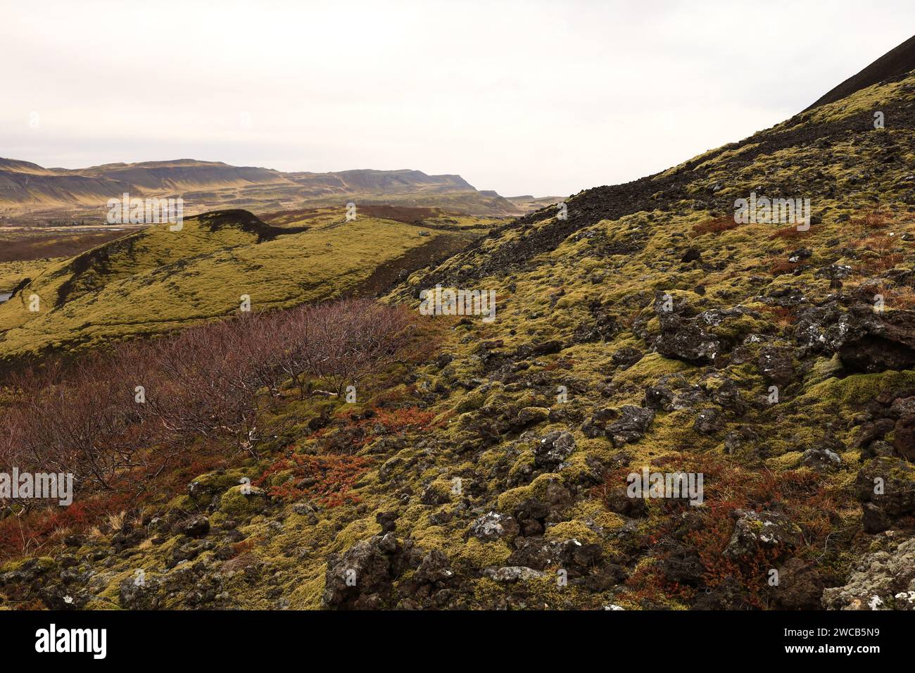 The crater of Grábrók, Grabrokargigar, is a protected natural area ...