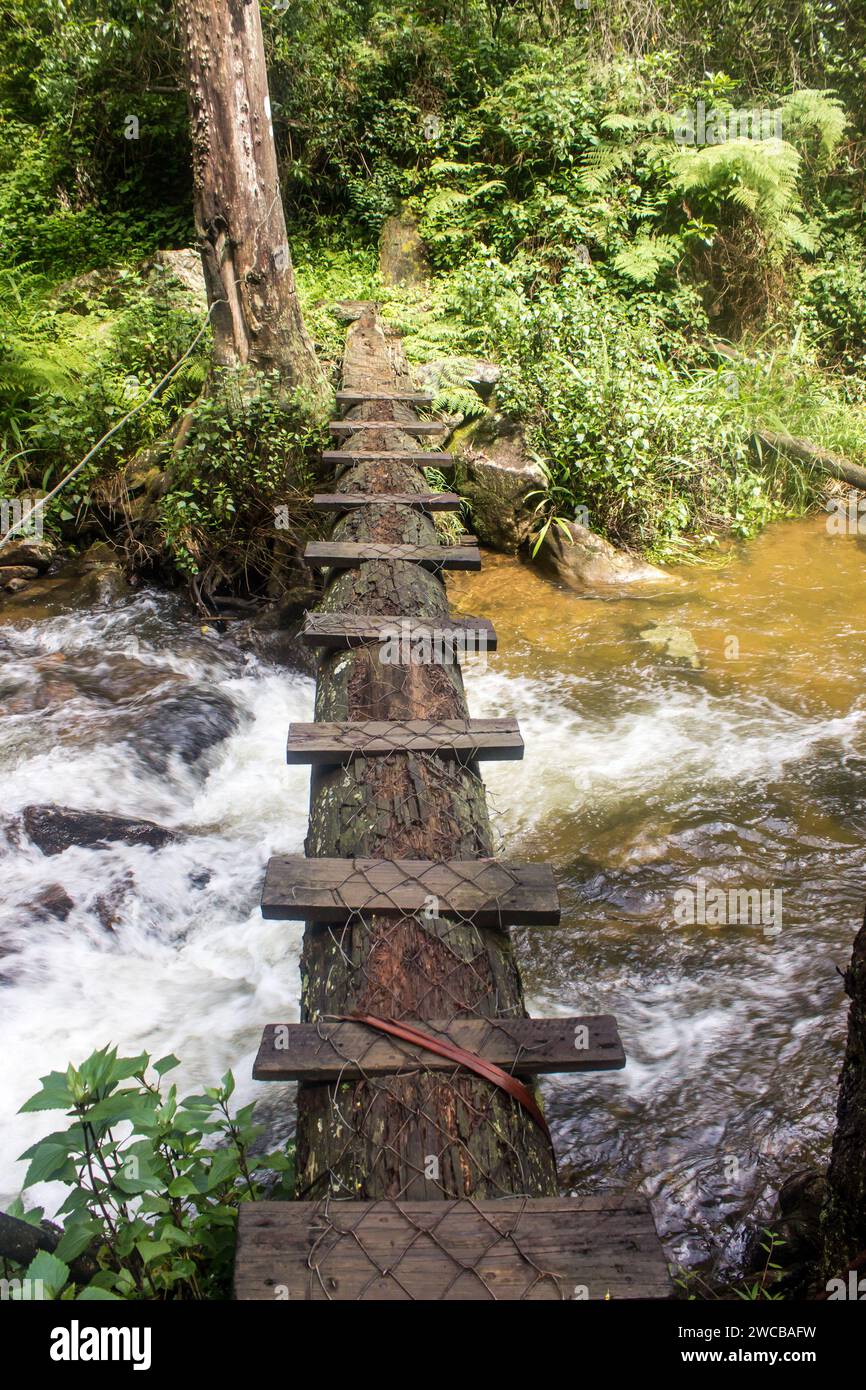 Primitive crossing of a small fast flowing stream in Magoebaskloof in South Africa. Stock Photo