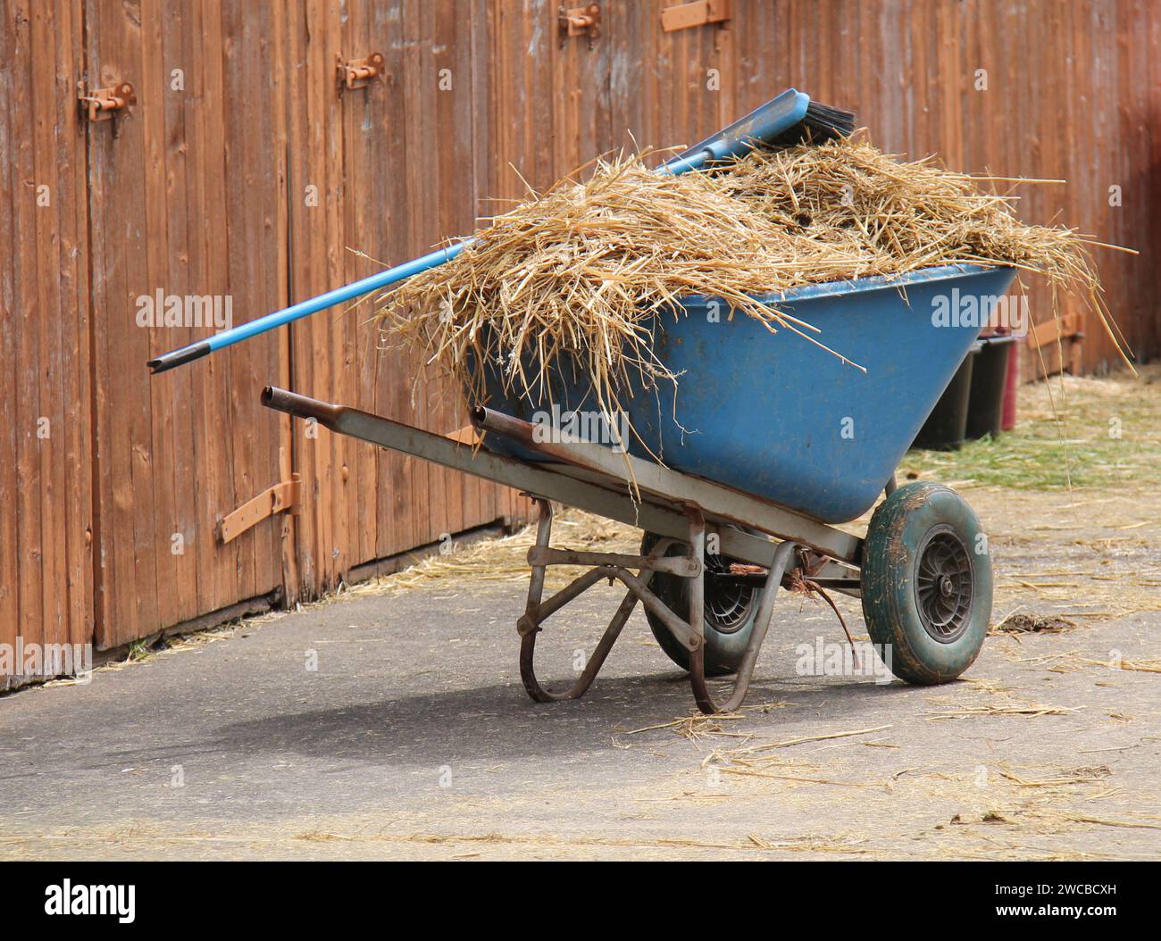 A Wheelbarrow with Straw and a Brush at Horse Stables Stock Photo - Alamy