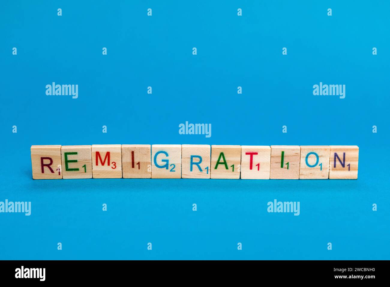 Remigration - Unwort des Jahres DEU/Deutschland/Illustration, 15.01. ...