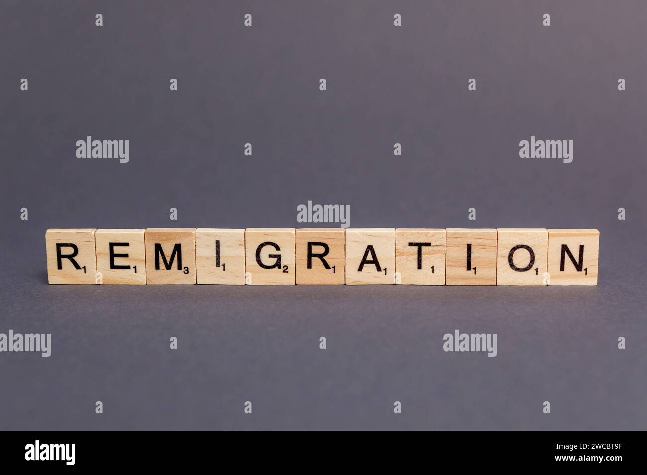 Remigration - Unwort des Jahres DEU/Deutschland/Illustration, 15.01. ...