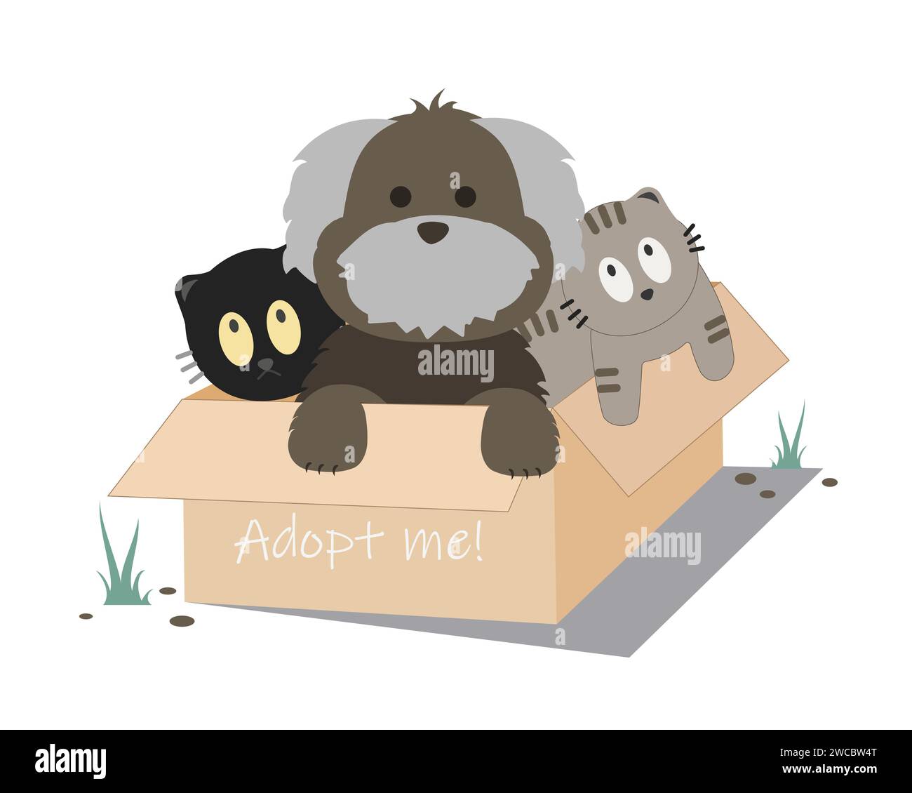 Cute little cats showing tongue inside cardboard box with adopt me text ...