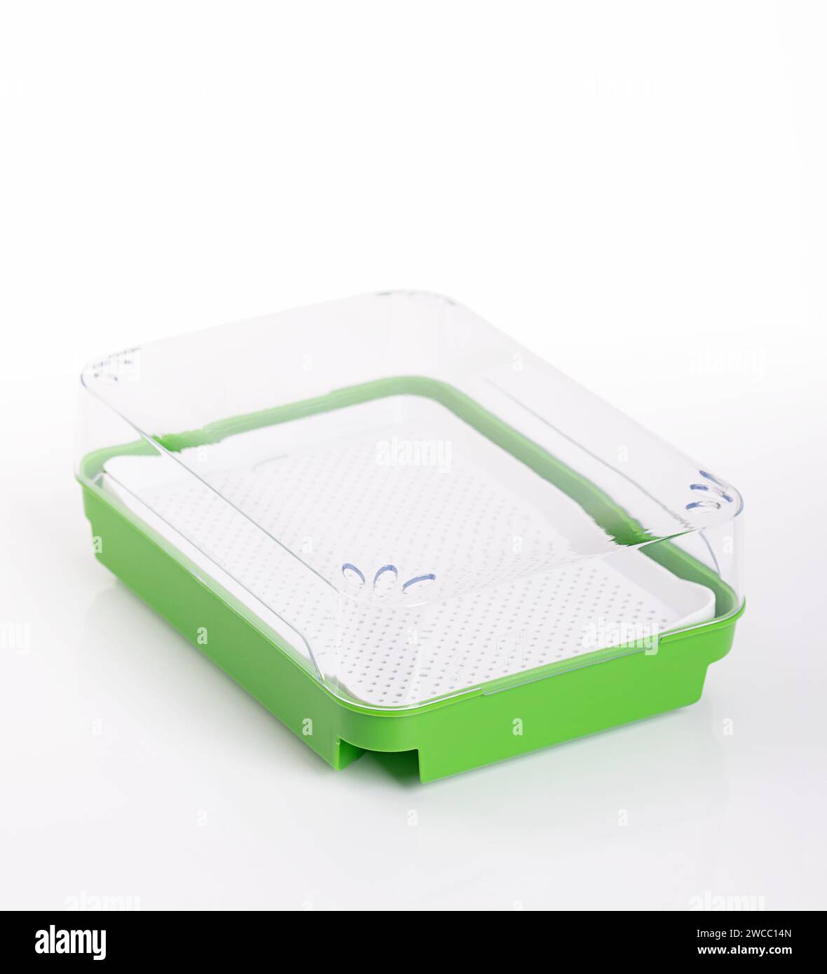 Cress growing kit. Green germination tray with white sieve insert and transparent cover. Sprouting set for sprouting seeds, and for growing shoots. Stock Photo