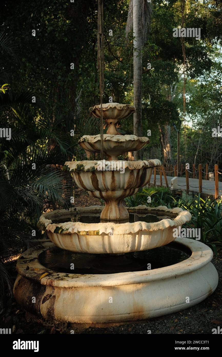 Fountain in the jungle Stock Photo