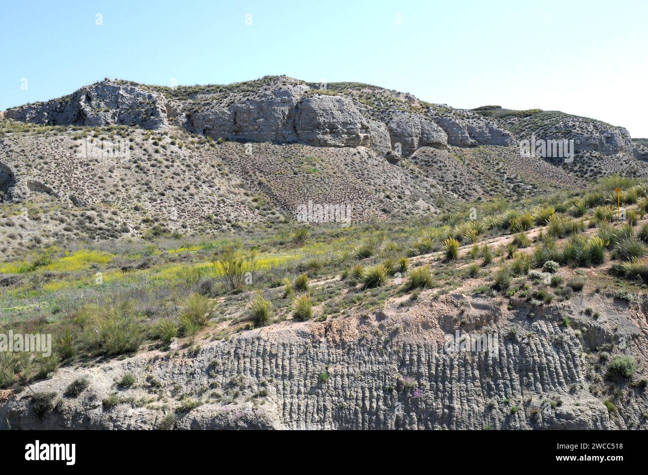 Tajuña valley, gypsum soil. Comunidad de Madrid, Spain. Stock Photo