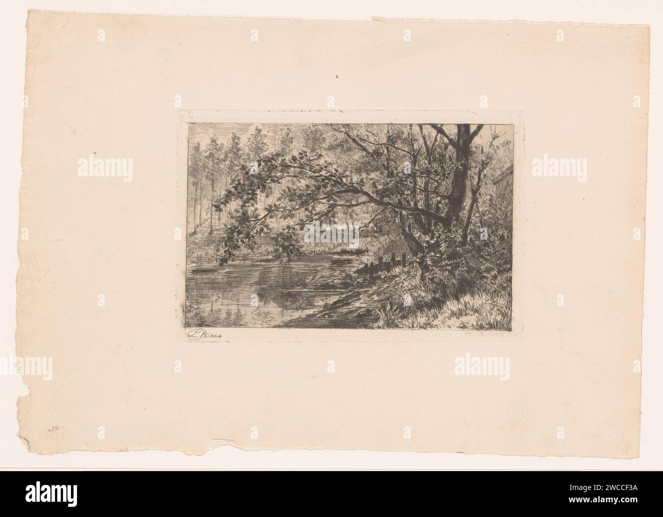 Vijver van Groenendaal, Lionel Oscar Baes, 1876 print paper etching / drypoint forest, wood