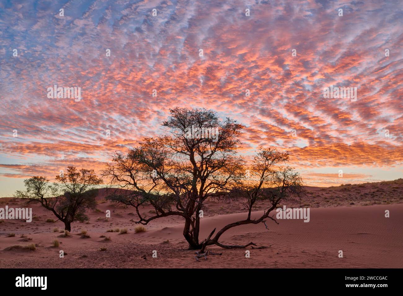 atmospheric clouds while sunset over dunes of Namib desert, Namibia, Africa Stock Photo