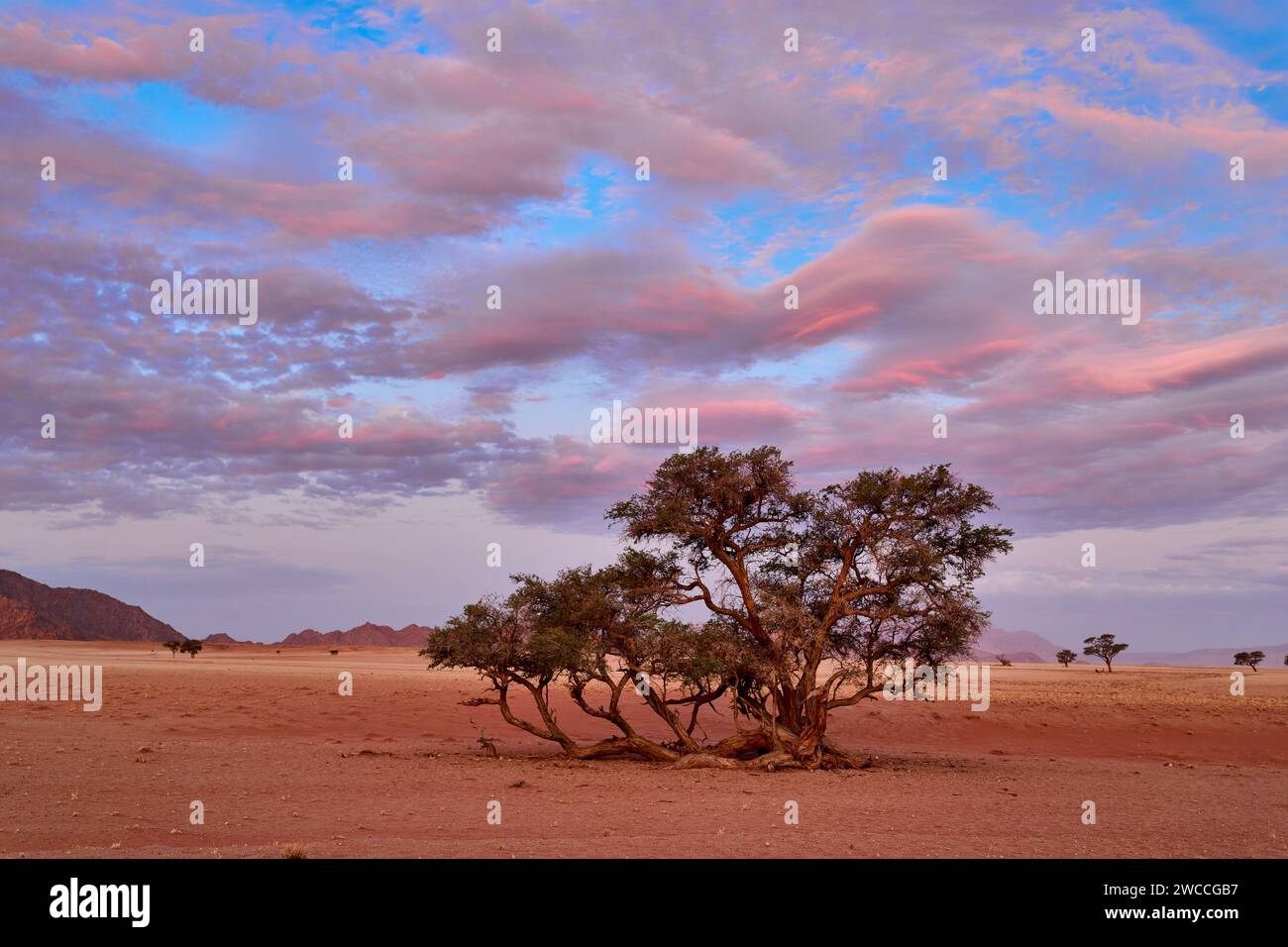 Atmospheric tourist attraction hi-res stock photography and images - Alamy